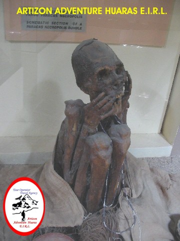 Momia en el museo de la reserva Paracas